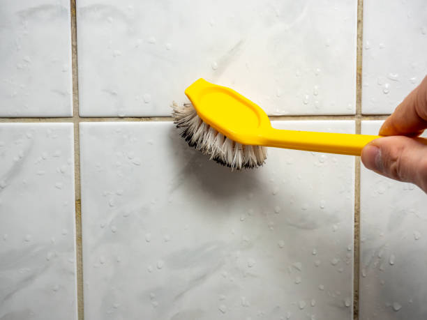 Best Commercial Mold Removal  in West Jefferson, OH