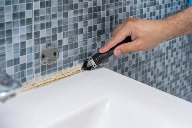 Best Office Mold Removal Services  in West Jefferson, OH