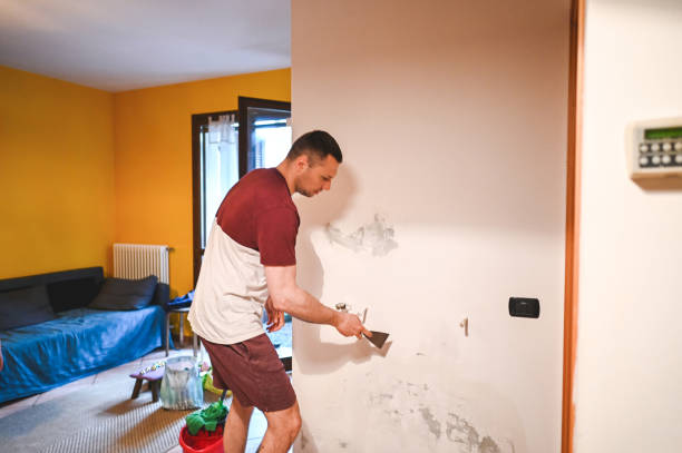 Trusted West Jefferson, OH Mold Removal Experts