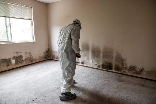 Best Mold Testing  in West Jefferson, OH